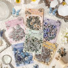 ������Ӱ�U߅��ˮ�N���֎��N�� �羳���~�N����ͯ�N�����֎��ز�