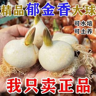 ���m�M���ش�������N���ذ�ˮ��������B���ͺ��̨��������ֲ��