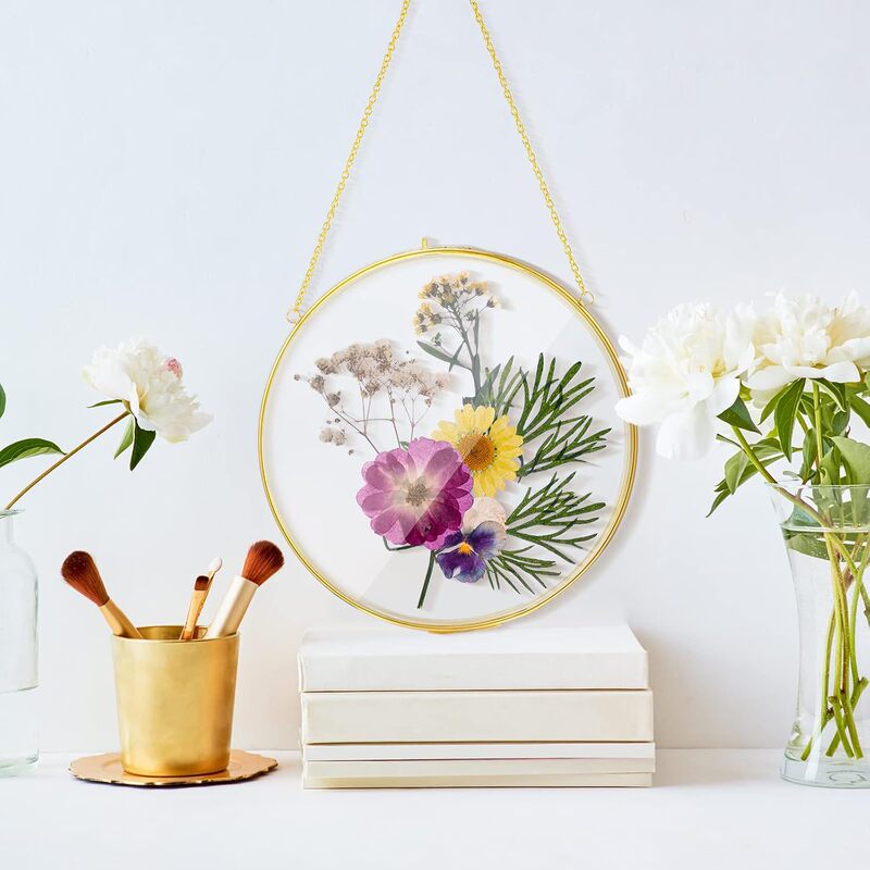 Free shipping factory direct wholesale gold copper round metal photo frame dried flower clip plant label clip for Amazon Free shipping factory direct wholesale gold copper round metal photo frame dried flower clip plant label clip for Amazon
