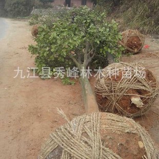 �������ݘ�8�����ۙ� ���l���ݘ�r�� �������ݘ�27��������3����