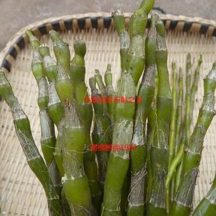 �F�ݷ�Ұ��5���ˮ���Oʯ���r�l���rʯ��1��ʯ�^�����L�ǻ�ɽ�FƤ