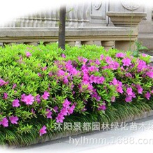 ë���N�����N�����ļ�����ͥԺ���@���N������������G�h�ͺ�