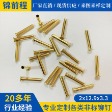 黄铜空心铆钉加长机械设备机架紧固连接件机器人结构件高强度铆钉