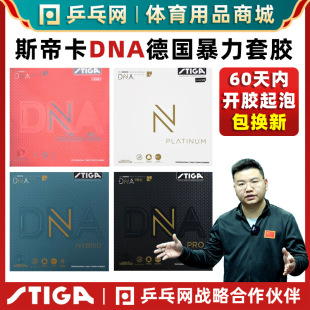 STIGA Stika DNA Platinum Edition S M H PRO Red Dragon Stika Table Tennis Paddle Anti-Rubber Set Glue