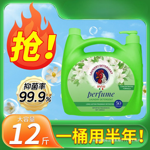 �����ϴ��Һ12��������ˮϴ��Һ����Ͱ�b��Ş��