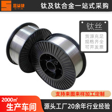 TA2钛合金丝TC4纯钛盘丝TA1焊接圈GR1钛合金线厂家TA2纯钛线材