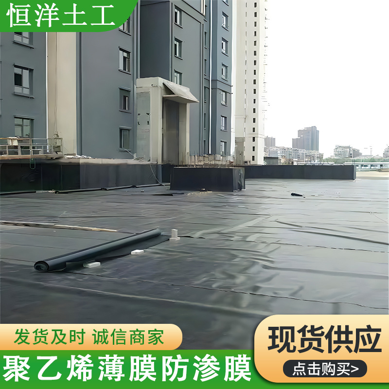 聚乙烯薄膜防渗膜蓄水池防水布黑膜防漏鱼塘养殖护坡加厚土工膜