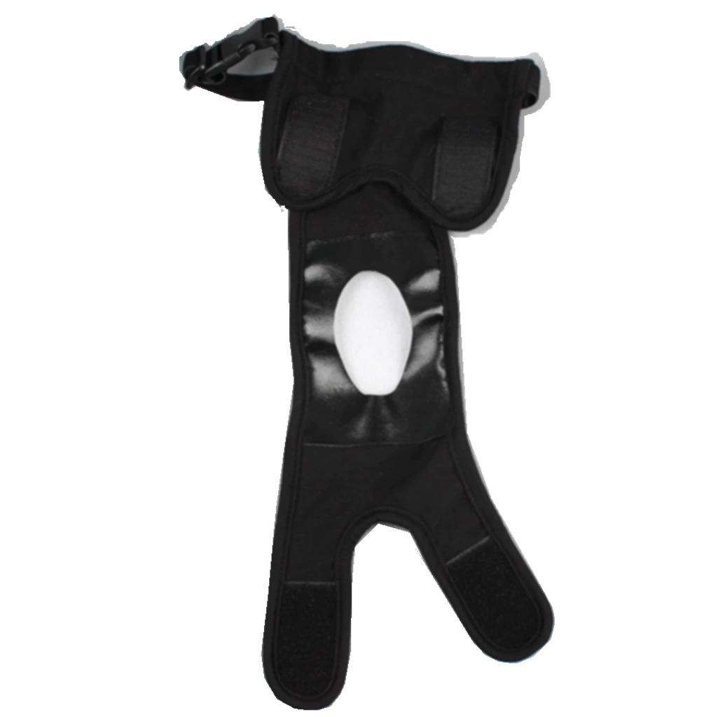 Новинка 2025 года от нашей фабрики: хлопковые двухслойные гигиенические трусики для собак, менструальные прокладки для животных с тремя хлопковыми вкладышами.