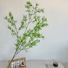 ����Gֲ��2026��ɭɫϵ��Y���滨��c��Y�ò廨���üٻ�ԭɫ��