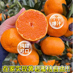 �o���۽��� �޽ӽ��Ә���ɰ�����ָ̲�֦�̼tƤ�������������