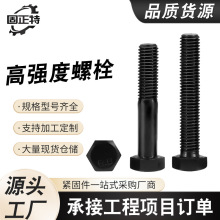 �S�ҹ����ߏ����������ݽz�ߏ�����˨8.8��10.9��12.9��