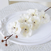 ָкm滨辰ٻܲ廨ƿ[O͏d[߶˲b