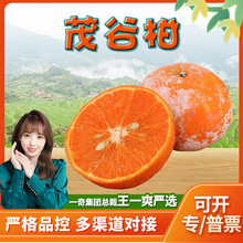 �����x���V��ï�ȸ�  ���ّ���ˮ�� ���r���� ���ٴ��l ���ָ�