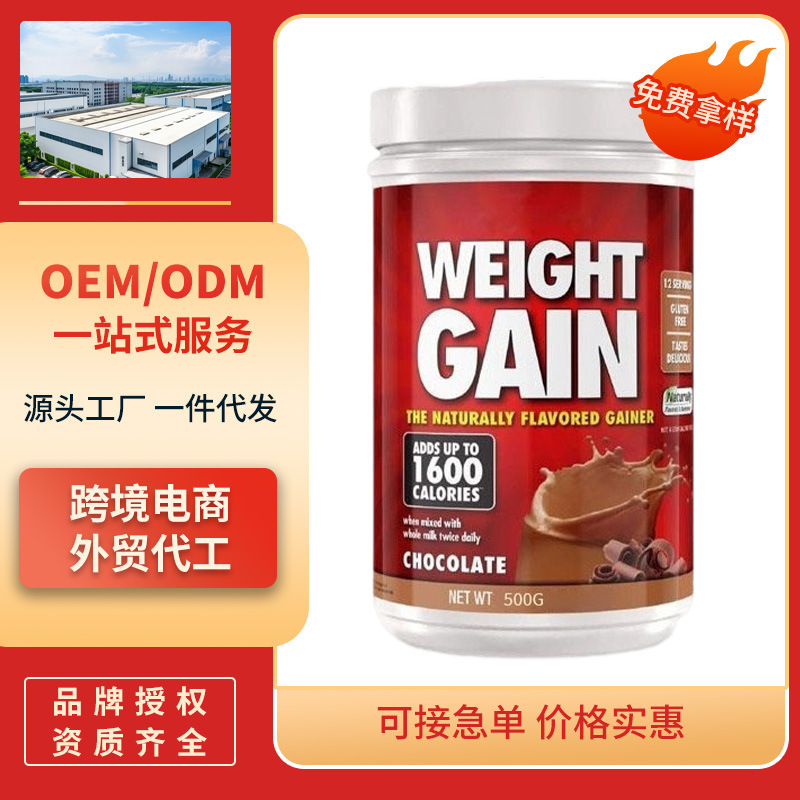 Foreign Trade Cross-Border Tk Spot Chocolate Protein Powder Chocolate Protein Powder Source Factory