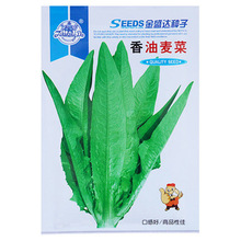 油麦菜种子四季播种大颗甜脆清香油麦耐热寒家庭菜园盆栽蔬菜种籽