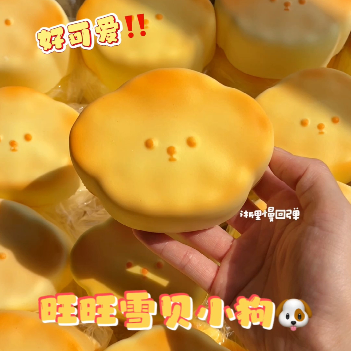 카라멜 스노우 케이크 강아지