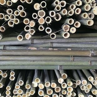 Bamboo Poles for Garden Trellis, Used for Climbing Beans, Cucumbers, Tomatoes, and Chili Peppers; Bamboo Plant Supports Made from Bamboo