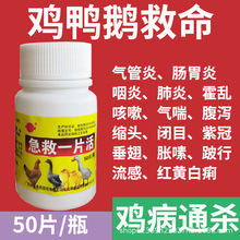 �u��ȫ���B�uș�u����ð������ϡ�����u���Z����uș��ȫ��ș����