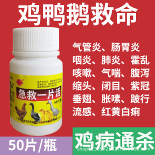 �u��ȫ���B�uș�u����ð������ϡ�����u���Z����uș��ȫ��ș����