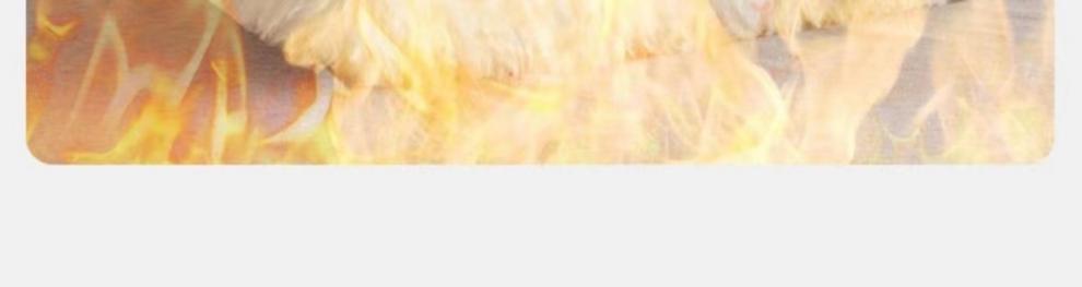 6f644e4d-beb4-4055-bffd-cb9e45ef832c.jpe