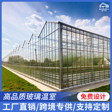 厂家供应镀锌钢管温室大棚连栋骨架农业种植连体智能玻璃温室大棚