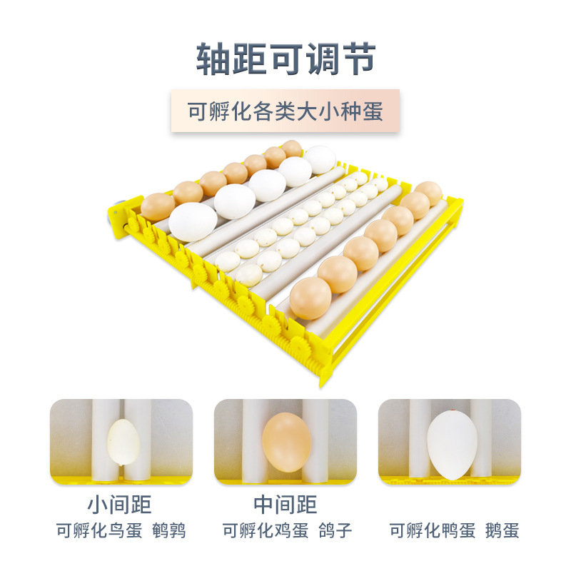 56 rodillo automático mini incubadora pollo pato ganso codorniz hogar incubadora de un solo clic incubadora de huevos