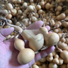 С���J��Ȼ���J������������[������S�ҵؔ�С����Ҿӿ���