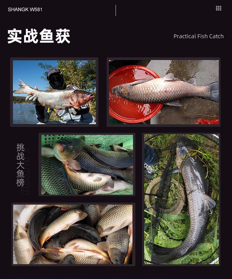 02b53798-5b6b-45ac-ae87-90790dcd1b8f.jpe