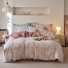 2025�¿�ȫ�޼������Ӽ�ɫ�����Ứ�ļ���