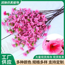 һ֦ѻlٻc^҃ȿ͏d̨[b