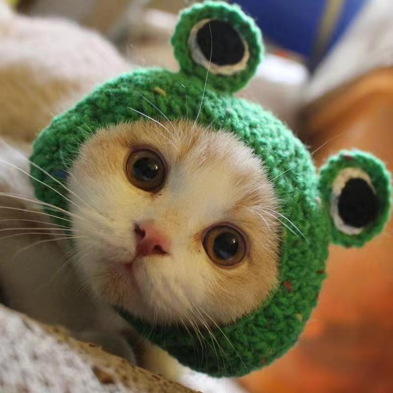 Cute Pet Hat 2