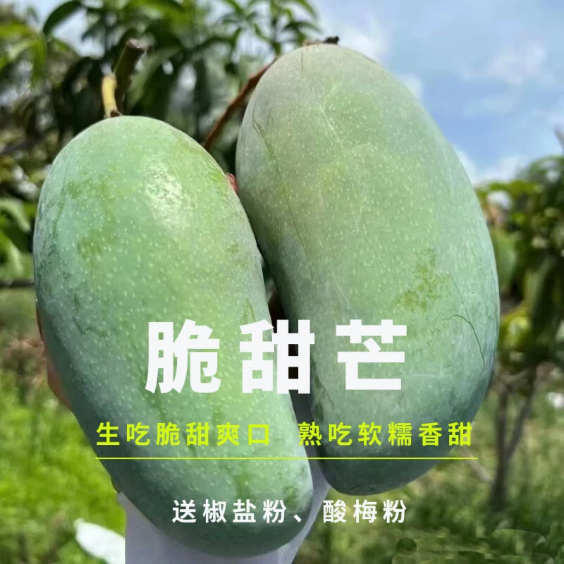 Настоящие крупные зеленые манго из Гуанси, 5kg штук в коробке, свежие фрукты, манго с зеленой кожурой, сезонные тропические сладкие золотистые манго