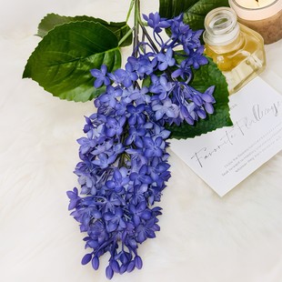 ܛ�z�ָж��㻨���滨�������þƵ��c�b����컨�ٻ��{ɫܛ�z��