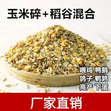 玉米粒喂鸡批发碎玉米粒稻谷混合物粉碎渣鸡鸭粮食鸽子粮兔猪仓鼠