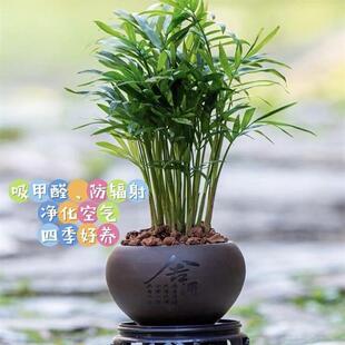 ���主�F��Ҭ�������k���������҃ȾGֲ�Pβ���ļ����������Bֲ��