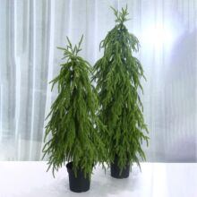 �S��ֱ�����ƿ��}�Q���ԼҾ��b�c�zӰ�[�������}�Q����滨