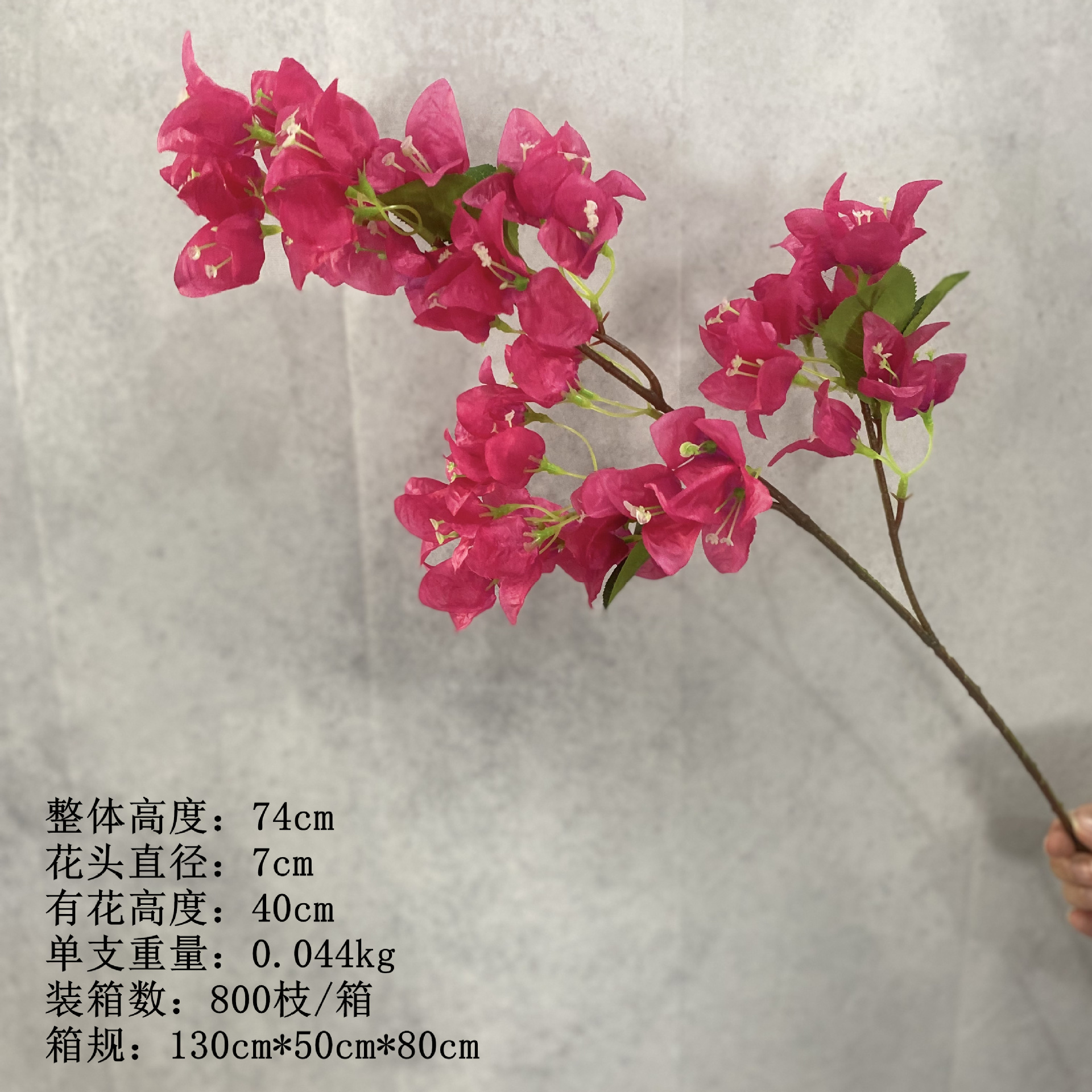 스몰 사이즈 로즈 레드