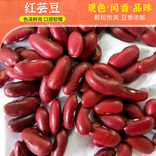 內蒙古原料紅芸豆  英國紅芸豆  現貨五谷雜糧磨粉供應紅芸豆
