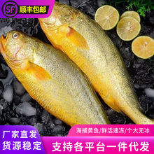 ���r������S�~�����r���ك��S���~��̖����S�~�����rˮ�a���l