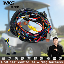 1515-5201 103850301����ClubCarPrecedent�ߠ�����܇��ɫ������