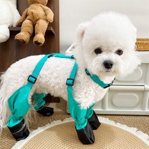 녹색