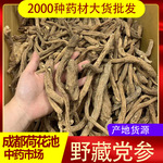 野党参正宗野生药材 藏党参500克正品包邮量大从优初级农产品