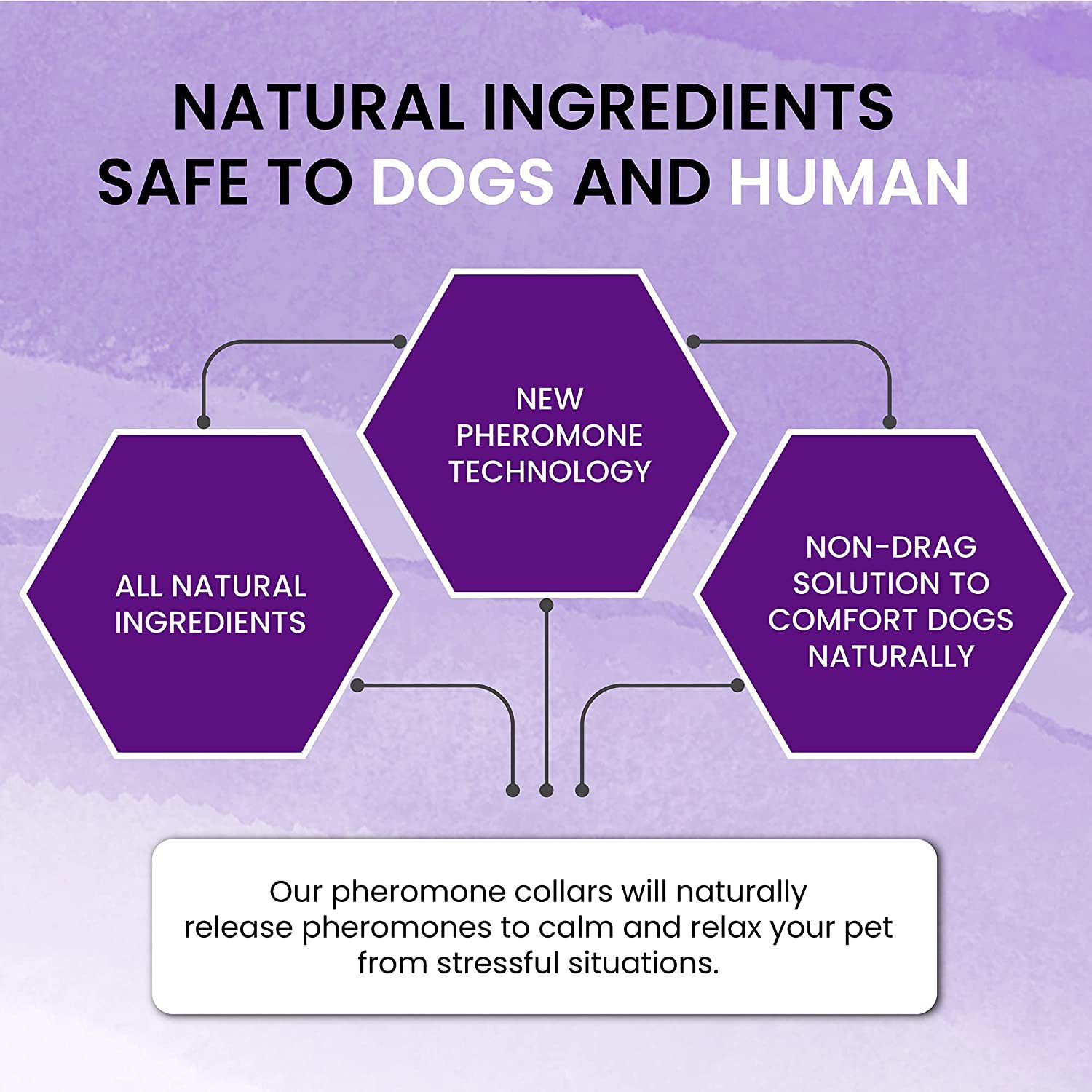 71FiWZ3pbxL._AC_SL1500_