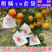 ��Ҋ�ҰҸ̸����״����ô����B���x��Ě�ȼt���˹�����ˮ���꼈��