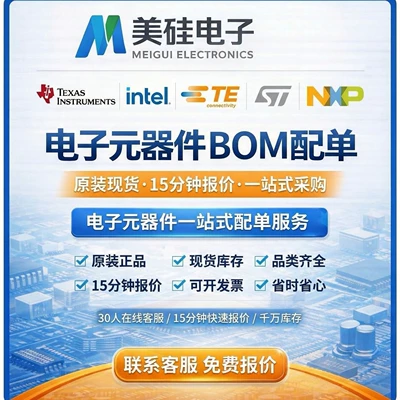 Supply Ic-Nqc Brand New Original Products in Stock, One-Stop Digital Component Bom