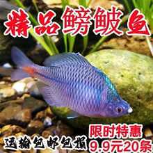 �߲����Qԭ����Ƥ�~�˰��~���z���~ԭ���~�����~��ˮ�~�^�p�~���]