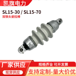 �����͑�ʽ��ƿ�p�F�^�߉���·��XS-10/30�մɽ^����10KV�߉���ƿ