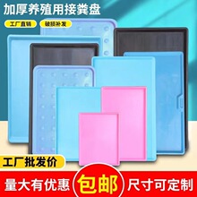 �û\�бP�L���Ό���Ӻ���ʺ�\���\�ױP���|�u؈�û\�ӽӼS�P