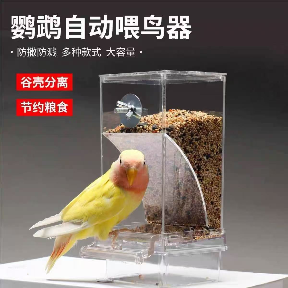 Comedero Automático para Loros de Acrílico Colgante Anti-salpicaduras para Jaula de Pájaros
