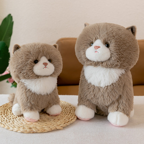 Cute simulation cat doll doll kitten budo plush toy scratch machine doll girl pillow gift wholesale